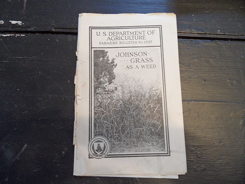 Vintage - "Johnson Grass as a Weed", US Dept of Agriculture, 1940 Vintage - "Johnson Grass as a Weed", US Dept of Agriculture, 1940