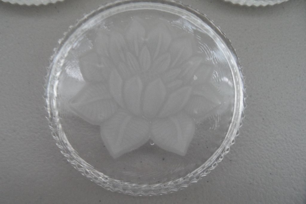 Vintage - Glass Coasters - (Set of 5) - Etched Flowers Vintage - Glass Coasters - (Set of 5) - Etched Flowers