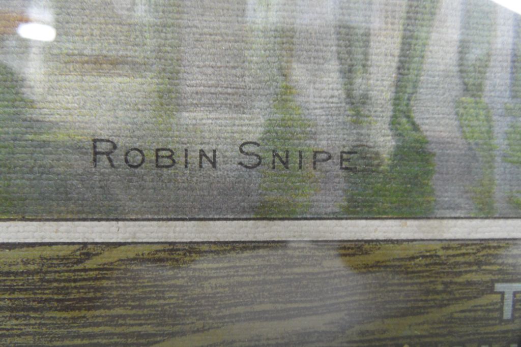 Vintage - Framed Robin Snipe - Arm and Hammer Soda Vintage - Framed Robin Snipe - Arm and Hammer Soda