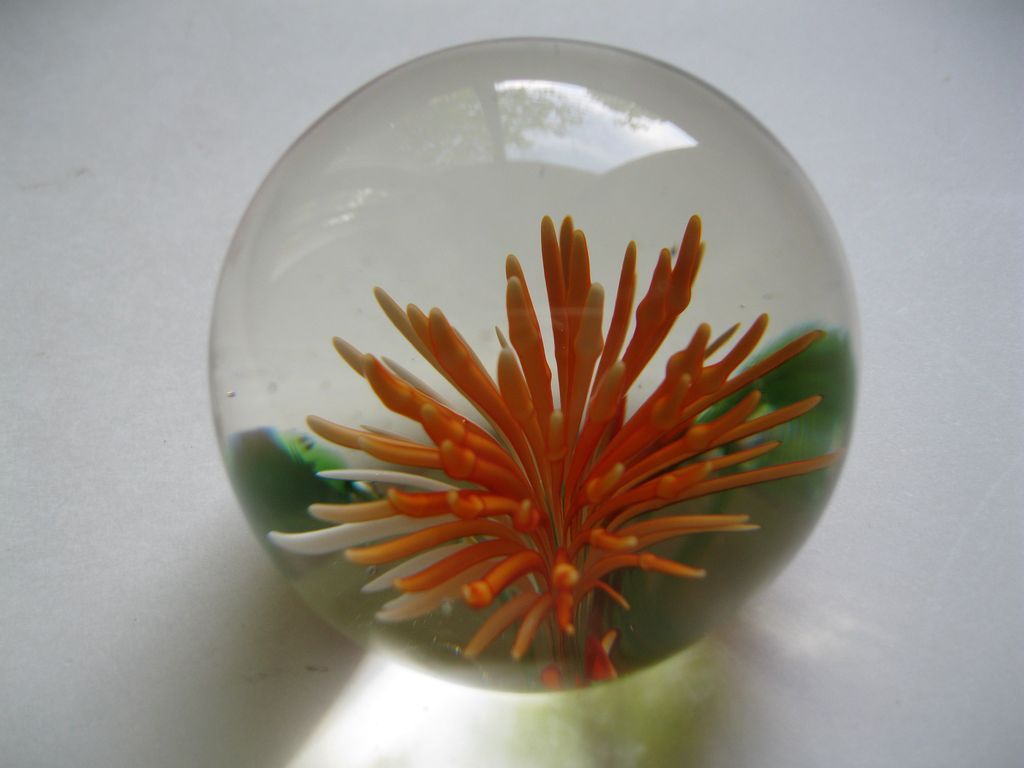 Vintage Sea Anemone Paperweight from midas on Ruby Lane