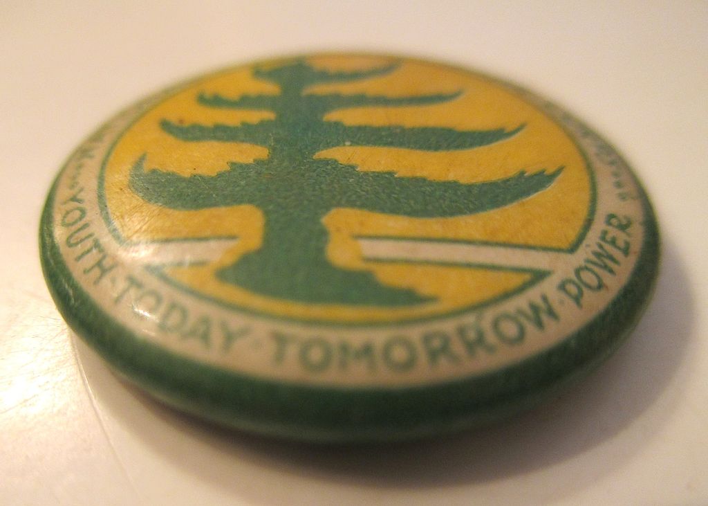 3 National Junior Suffrage Corps Buttons, circa 1914. 3 National Junior Suffrage Corps Buttons, circa 1914.