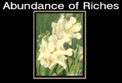 Abundance of Riches