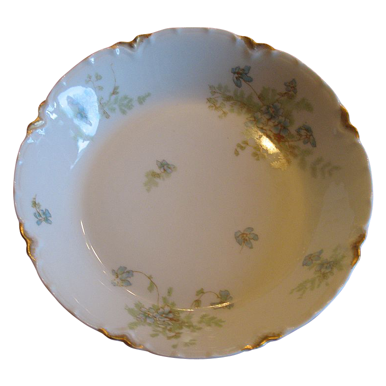 Haviland &Co. Bowl delicate with violets and ferns. Haviland &Co. Bowl delicate with violets and ferns.
