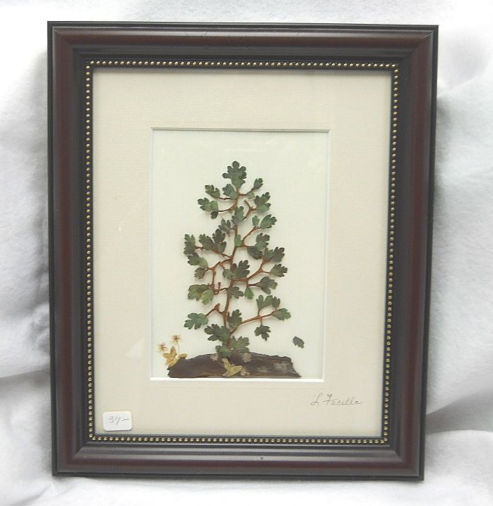 Floral wall decor created with natural pressed botanicals Floral wall decor created with natural pressed botanicals