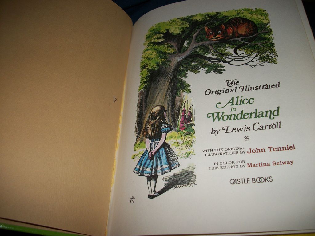 1978 Alice In Wonderland Illus Tenniel Martin Selway Castle Books 1978 Alice In Wonderland Illus Tenniel Martin Selway Castle Books