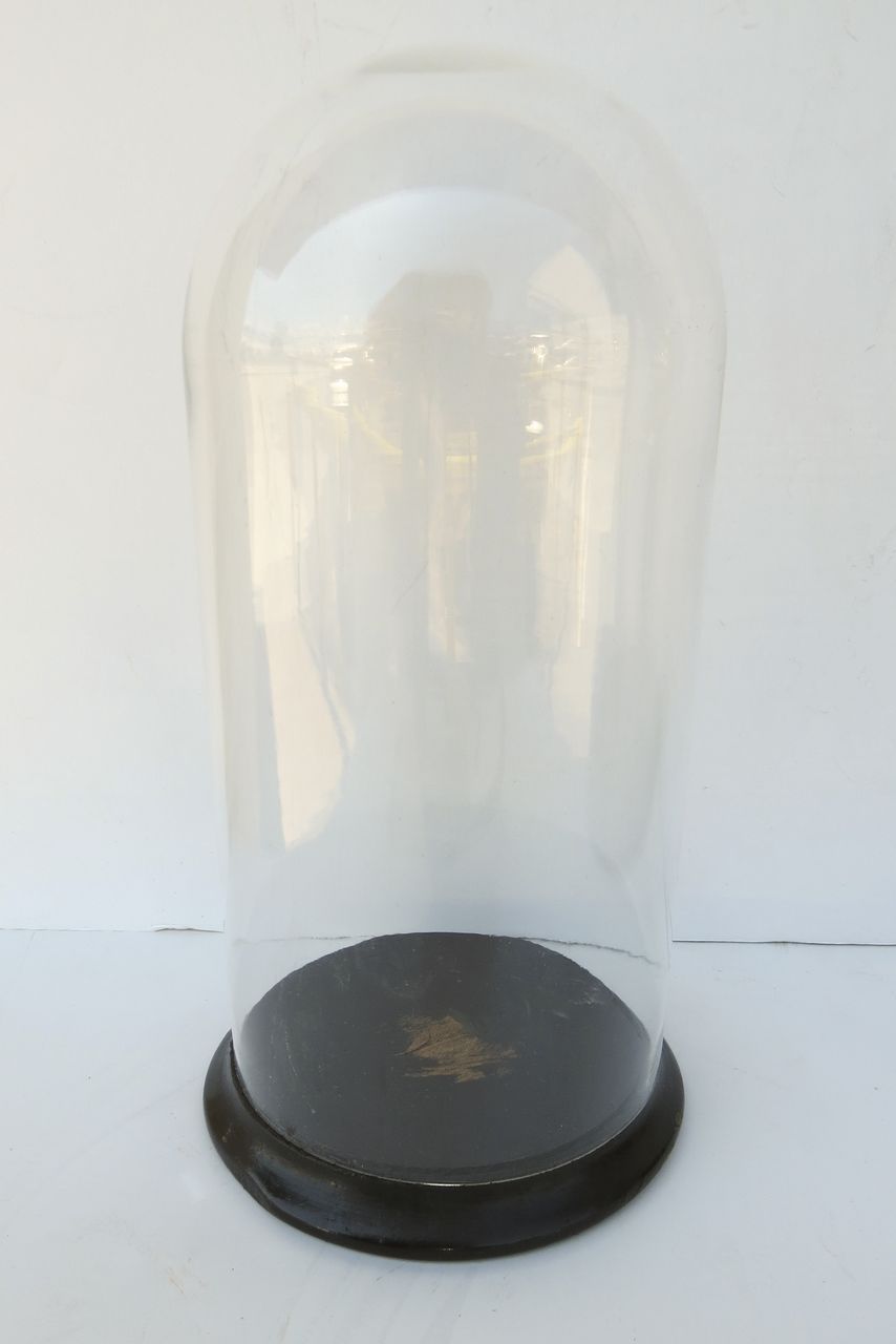 Glass Dome with Painted Wood Base from blacktulip on Ruby Lane