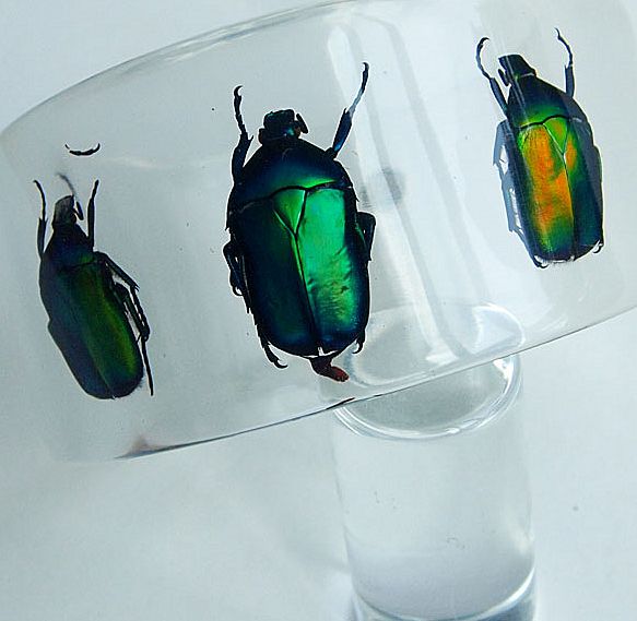 Transparent lucite bangle with real beetles Transparent lucite bangle with real beetles