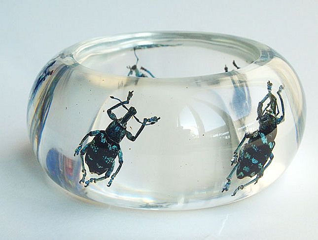 Transparent lucite bracelet with real beetles Transparent lucite bracelet with real beetles