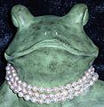 Elegant Frog Elegant Frog