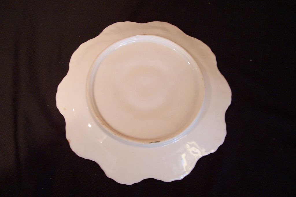 Oyster Plate Oyster Plate