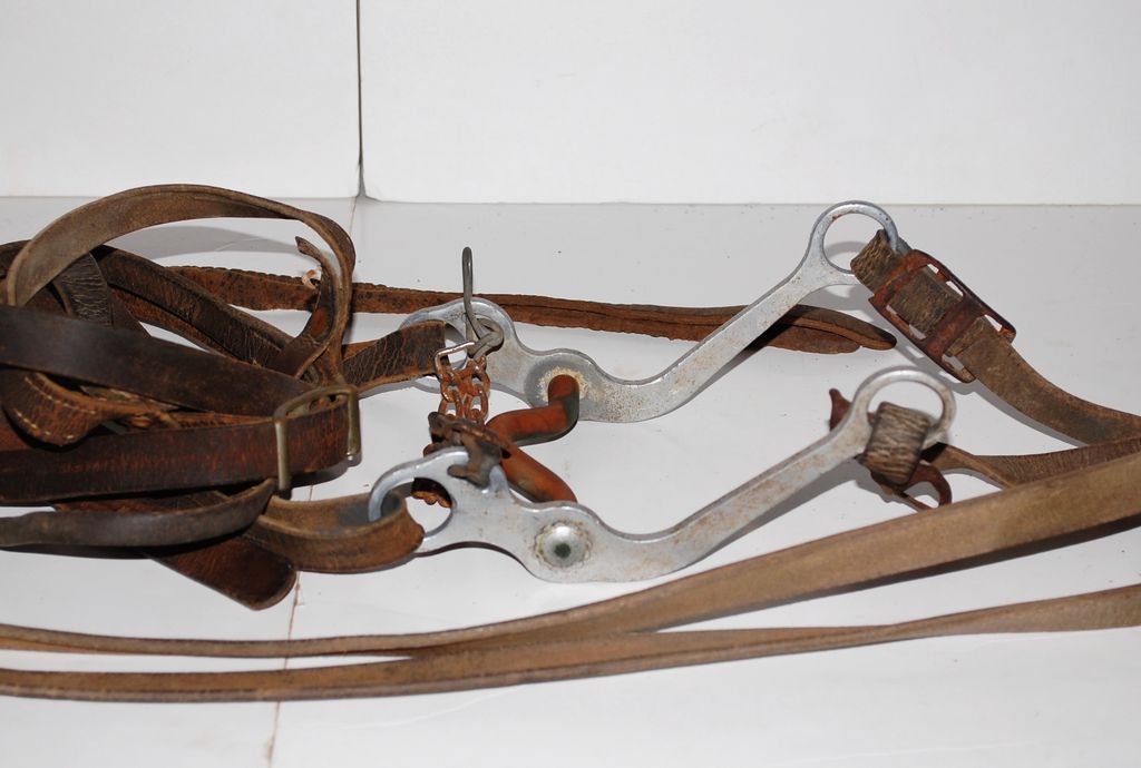 Horse Bridle w/ Leather Straps Rustic Wall Decoration from