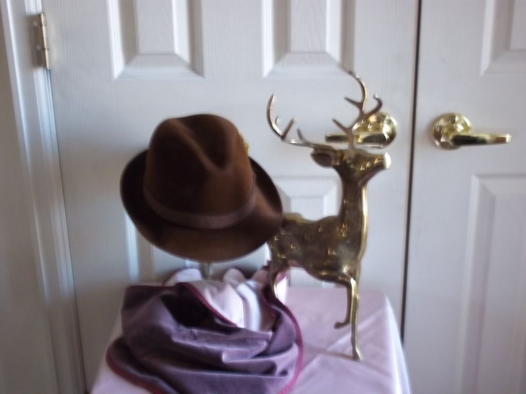 Resistol Rich Brown Fedora Resistol Rich Brown Fedora