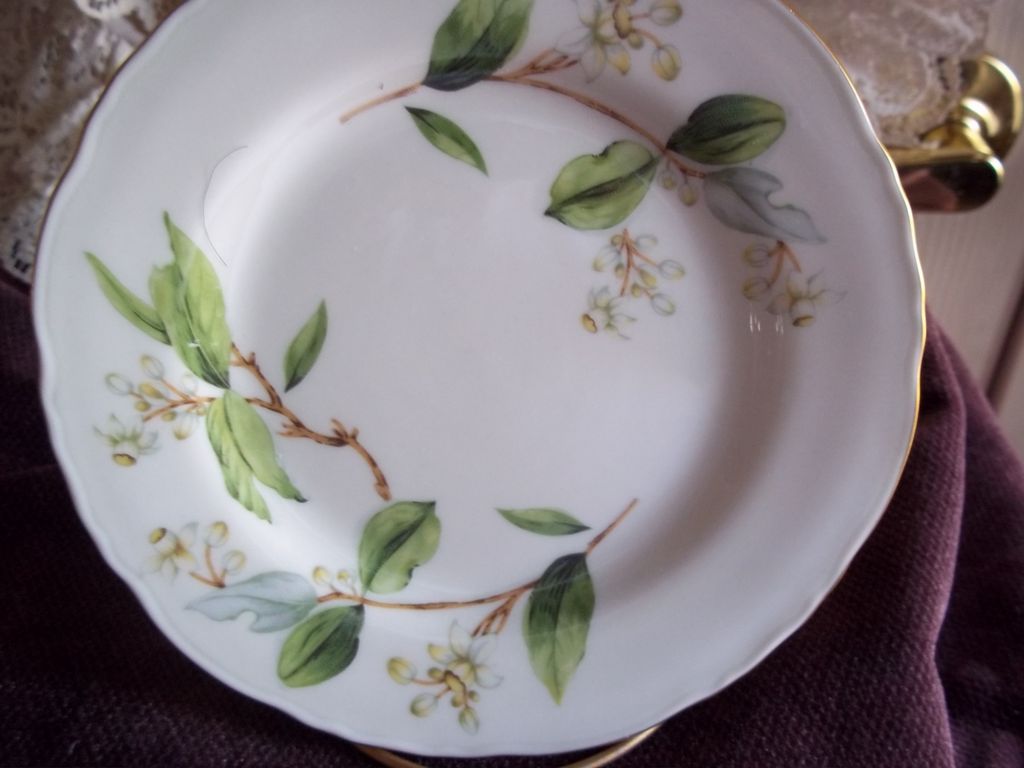 Theodore Haviland Orange Blossom China Salad Plate Set Theodore Haviland Orange Blossom China Salad Plate Set