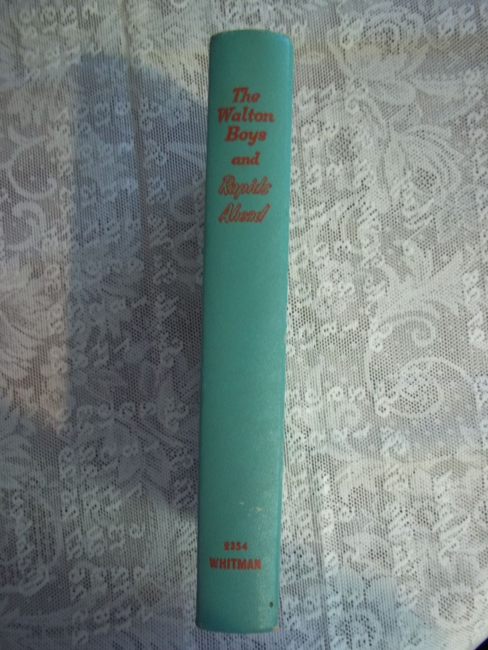 The Walton Boys and Rapids Ahead, Hal Burton, Whitman Publishing Co. 1950 HC The Walton Boys and Rapids Ahead, Hal Burton, Whitman Publishing Co. 1950 HC