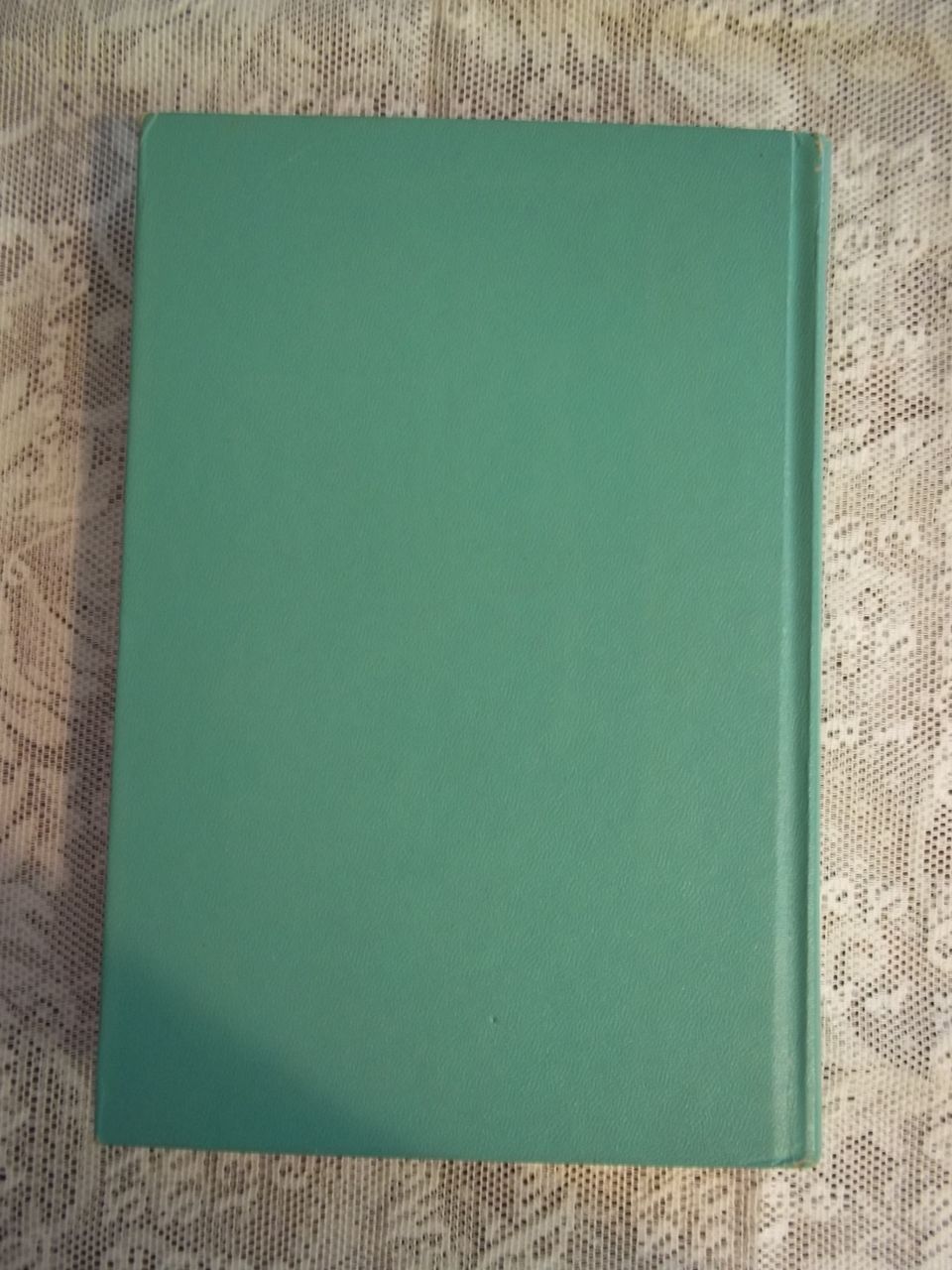 The Walton Boys and Rapids Ahead, Hal Burton, Whitman Publishing Co. 1950 HC The Walton Boys and Rapids Ahead, Hal Burton, Whitman Publishing Co. 1950 HC