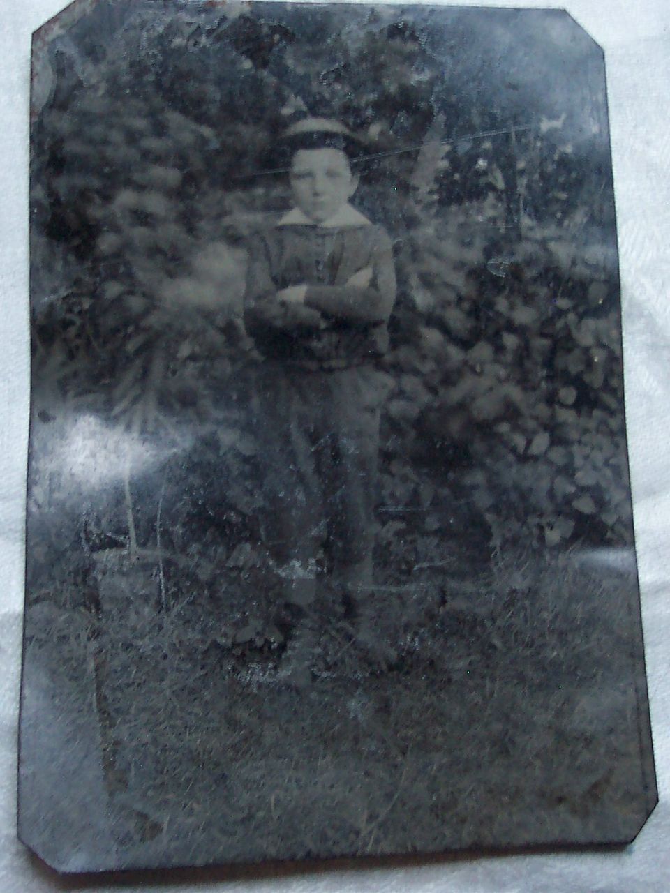 Half Plate Tintype - Boy in Garden Half Plate Tintype - Boy in Garden
