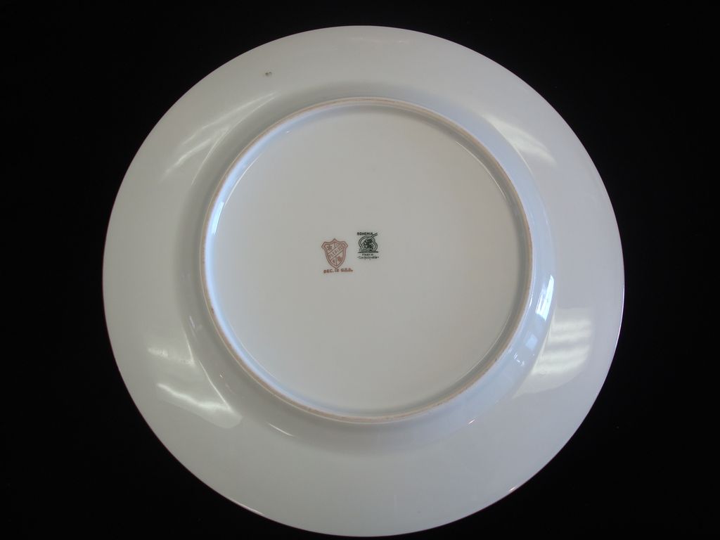 Gorgeous Czechoslovakian / Bohemia Cabinet Plate Decorated by Peerless Gorgeous Czechoslovakian / Bohemia Cabinet Plate Decorated by Peerless