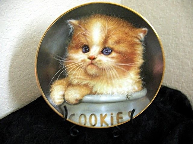 Cameo Kitten