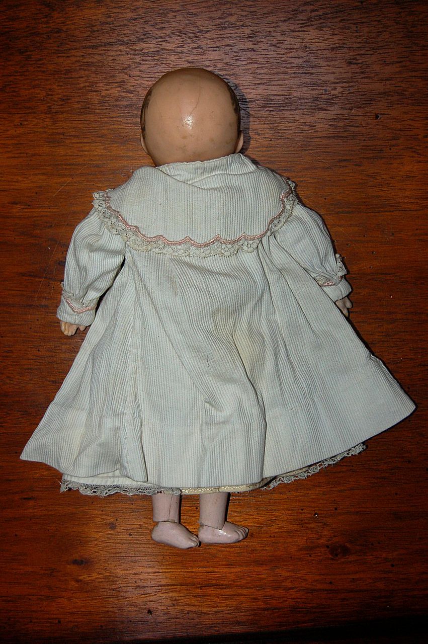 DARLING blue eyed motschman wax over : Emma DARLING blue eyed motschman wax over : Emma