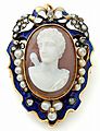 Vivien's Treasure Wonderland: Cameos