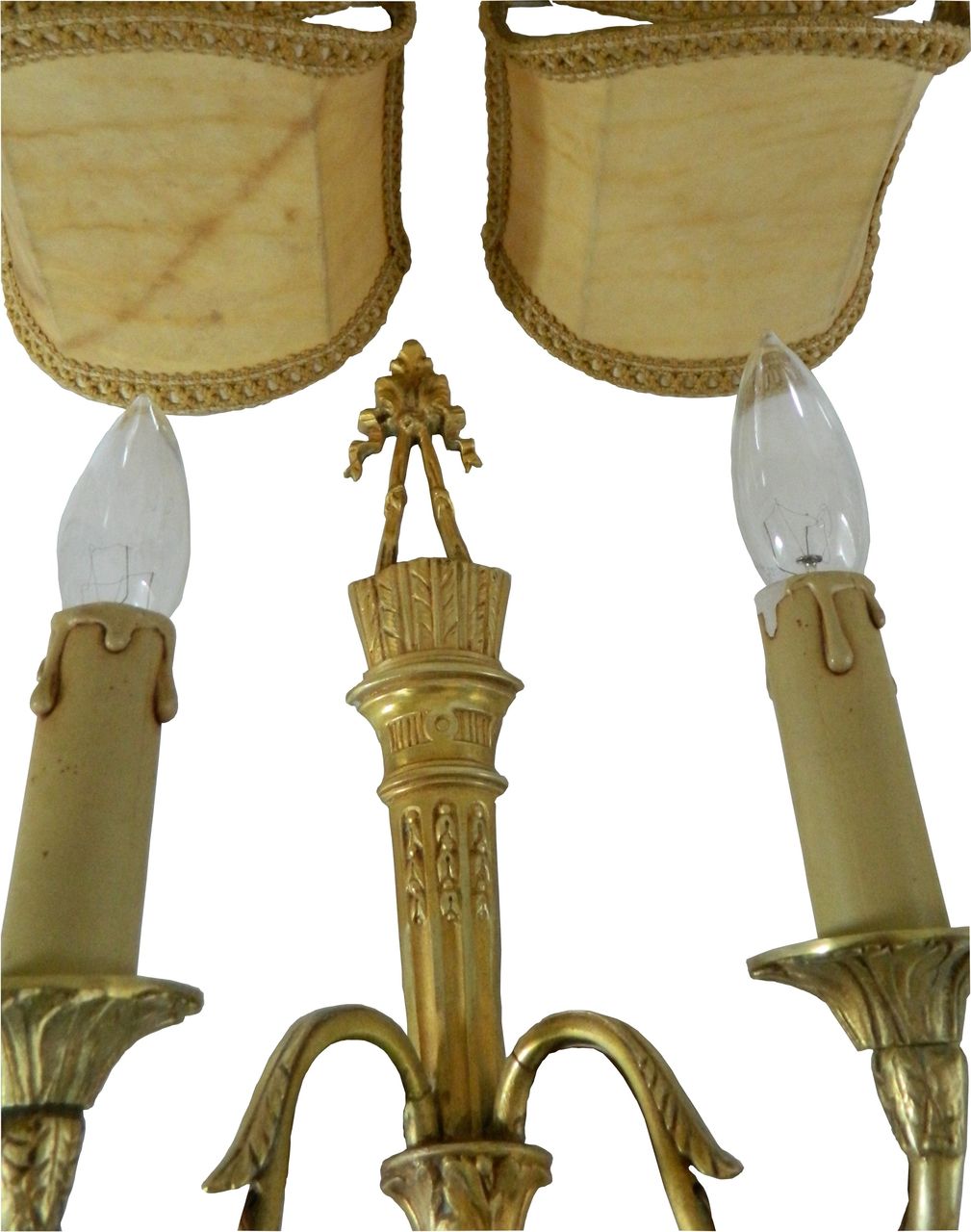 Shield Lamp