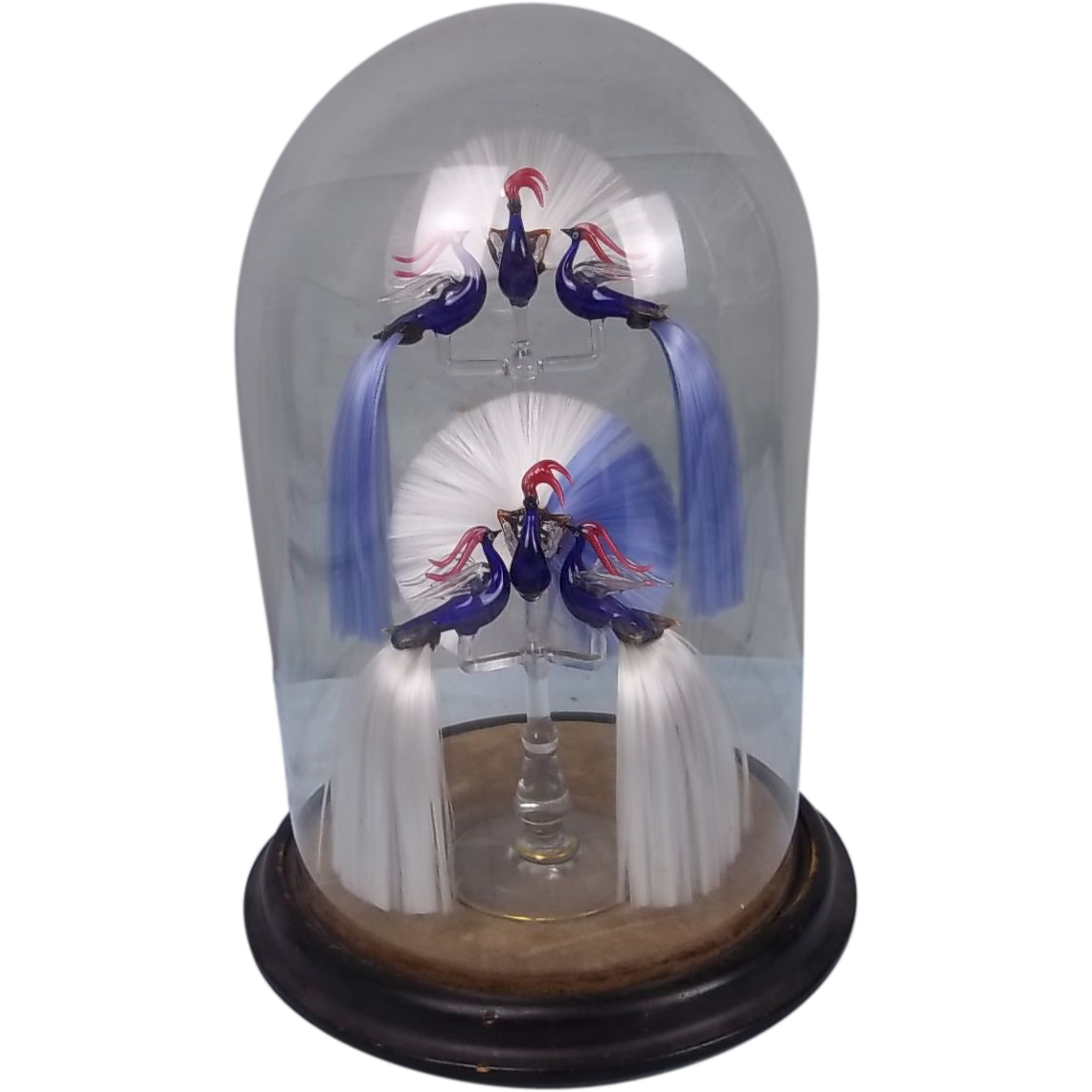 Victorian Hand Made Glass Birds Under a Dome Victorian Hand Made Glass Birds Under a Dome