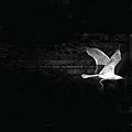 White Bird Vintage Jewelry