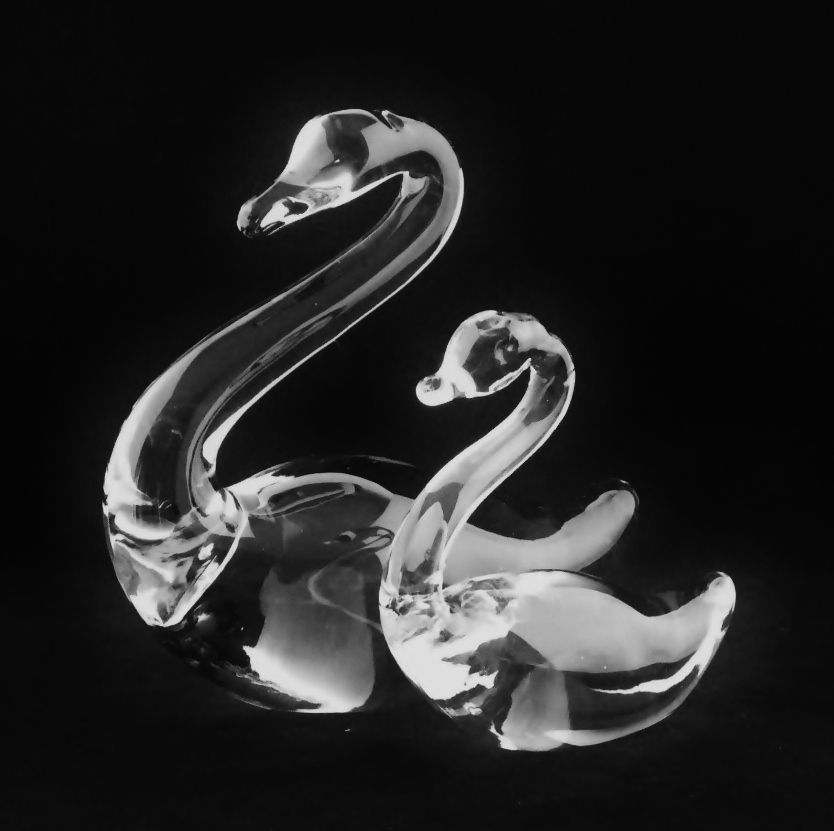 Duncan Miller Large and Medium Solid Back Swan Set Duncan Miller Large and Medium Solid Back Swan Set