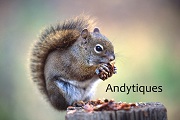 Andytiques