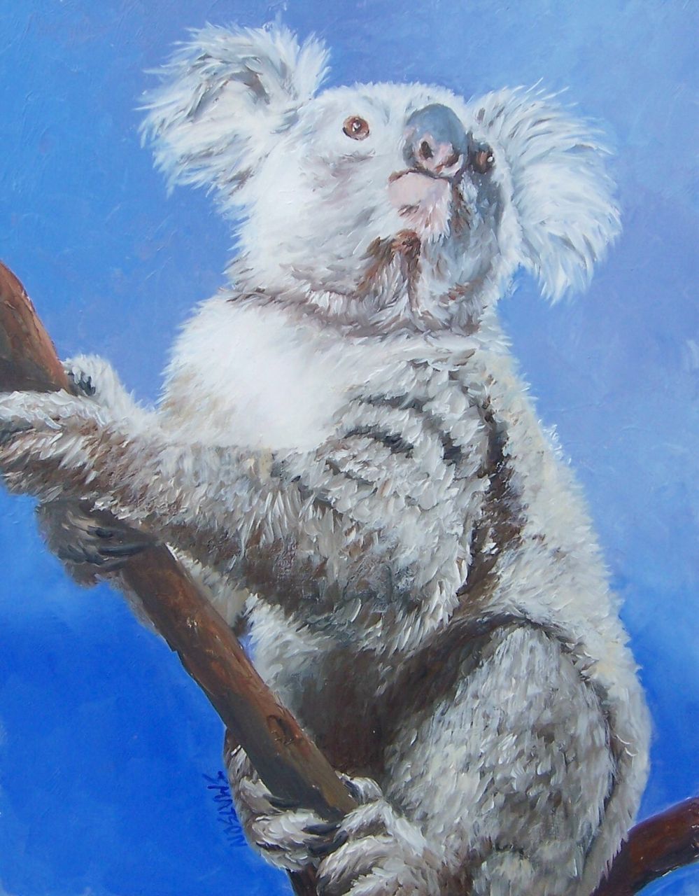 Koala - Original FRAMED Oil Painting by Jan Matson Koala - Original FRAMED Oil Painting by Jan Matson
