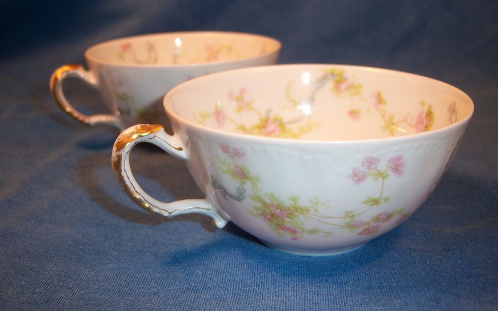 Haviland "Princess" Schleiger 57B Pair of Cups Only Haviland "Princess" Schleiger 57B Pair of Cups Only