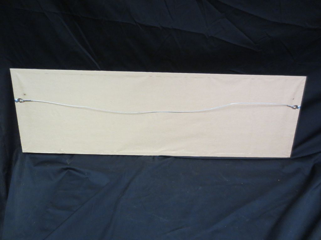 Most Amazing 1920 Boy Scout Stretch Photo Most Amazing 1920 Boy Scout Stretch Photo