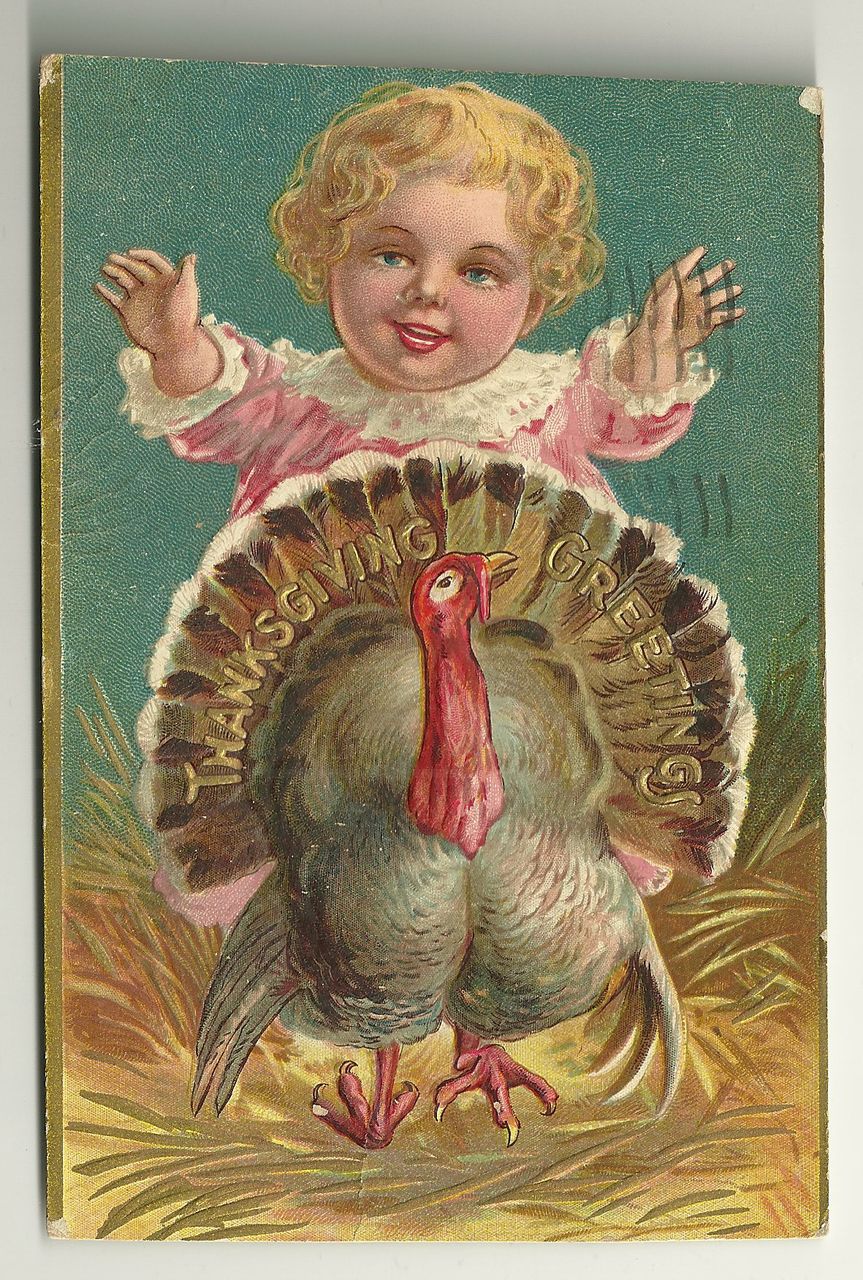 Cute Child with Turkey 1908 Thanksgiving Postcard Cute Child with Turkey 1908 Thanksgiving Postcard