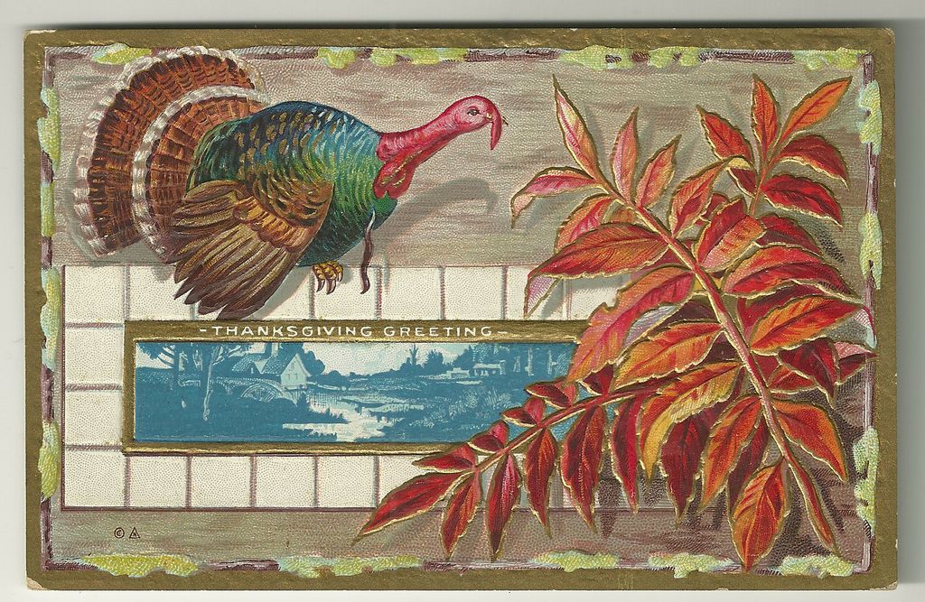 Thanksgiving Postcard from Nash with Gorgeous Fall Leaves and Turkey Thanksgiving Postcard from Nash with Gorgeous Fall Leaves and Turkey