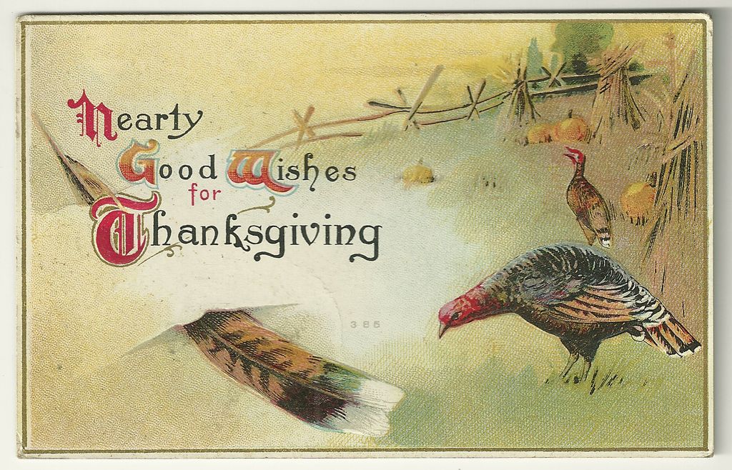 Thanksgiving Postcard with Turkeys and Feather Thanksgiving Postcard with Turkeys and Feather