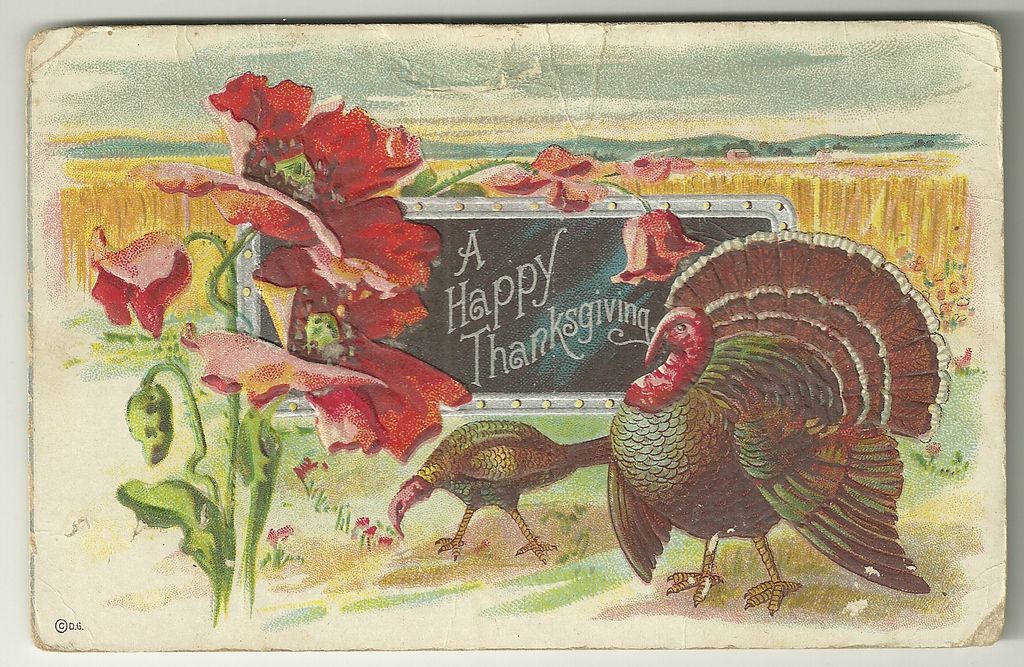 Thanksgiving Postcard by D. Goldie Thanksgiving Postcard by D. Goldie