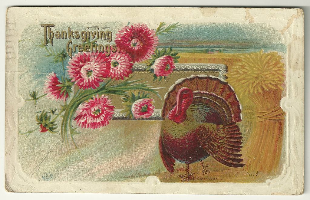 Tom Turkey Thanksgiving Postcard with Pink Flowers Tom Turkey Thanksgiving Postcard with Pink Flowers
