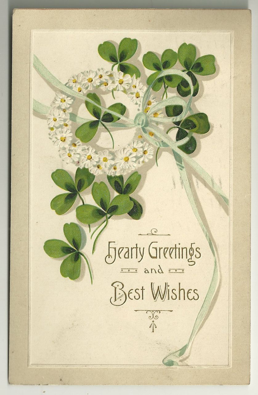 Shamrocks and Daisies Postcard Shamrocks and Daisies Postcard