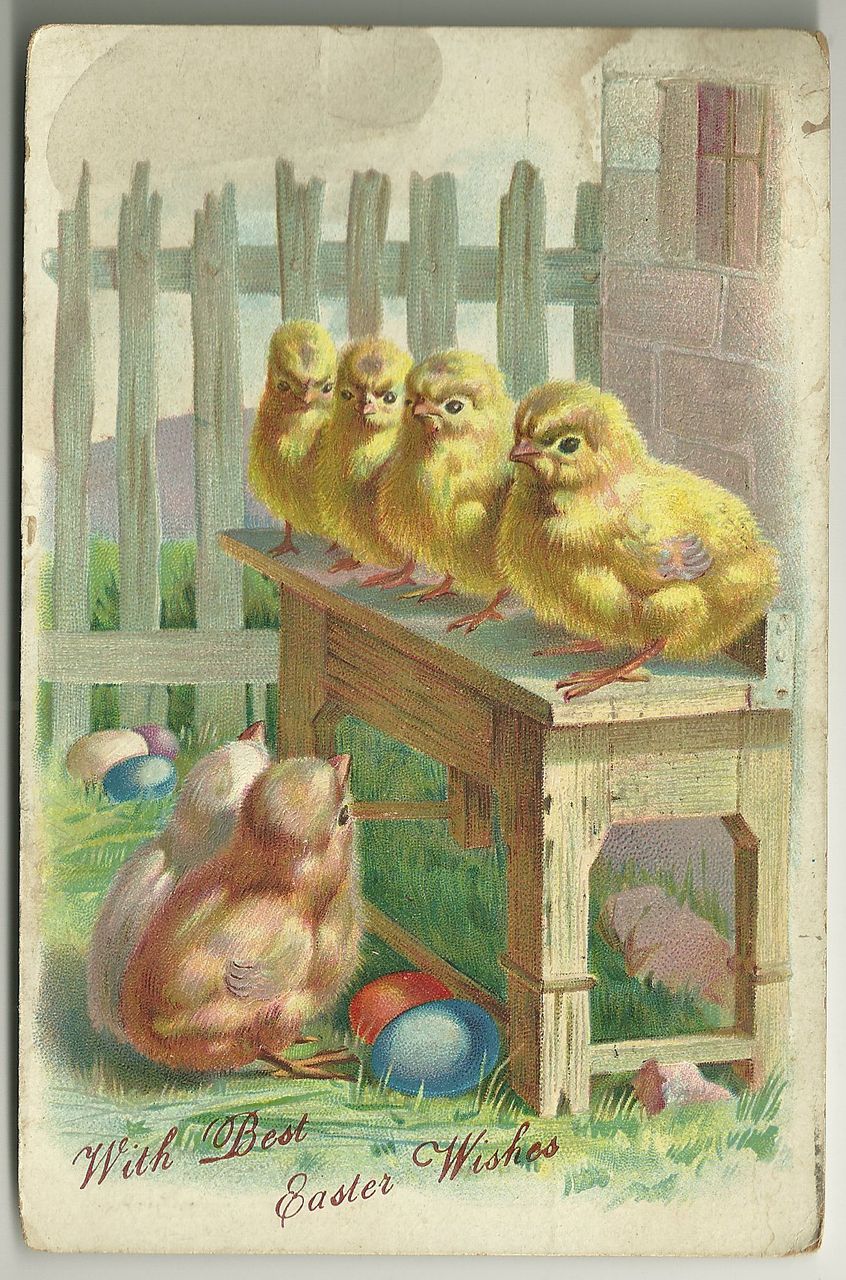 Tuck Easter Chicks Postcard with Undivided Back Tuck Easter Chicks Postcard with Undivided Back