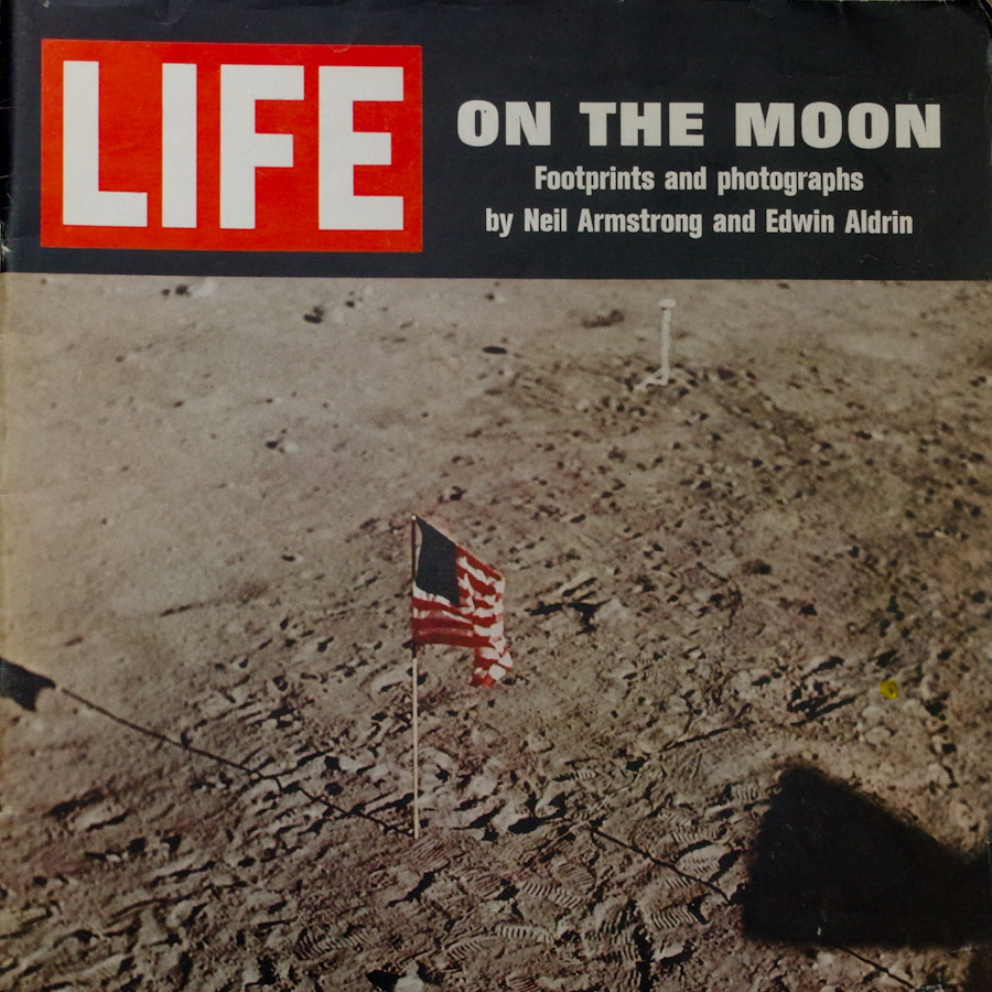 Ruby moon and a beautiful life essay picture