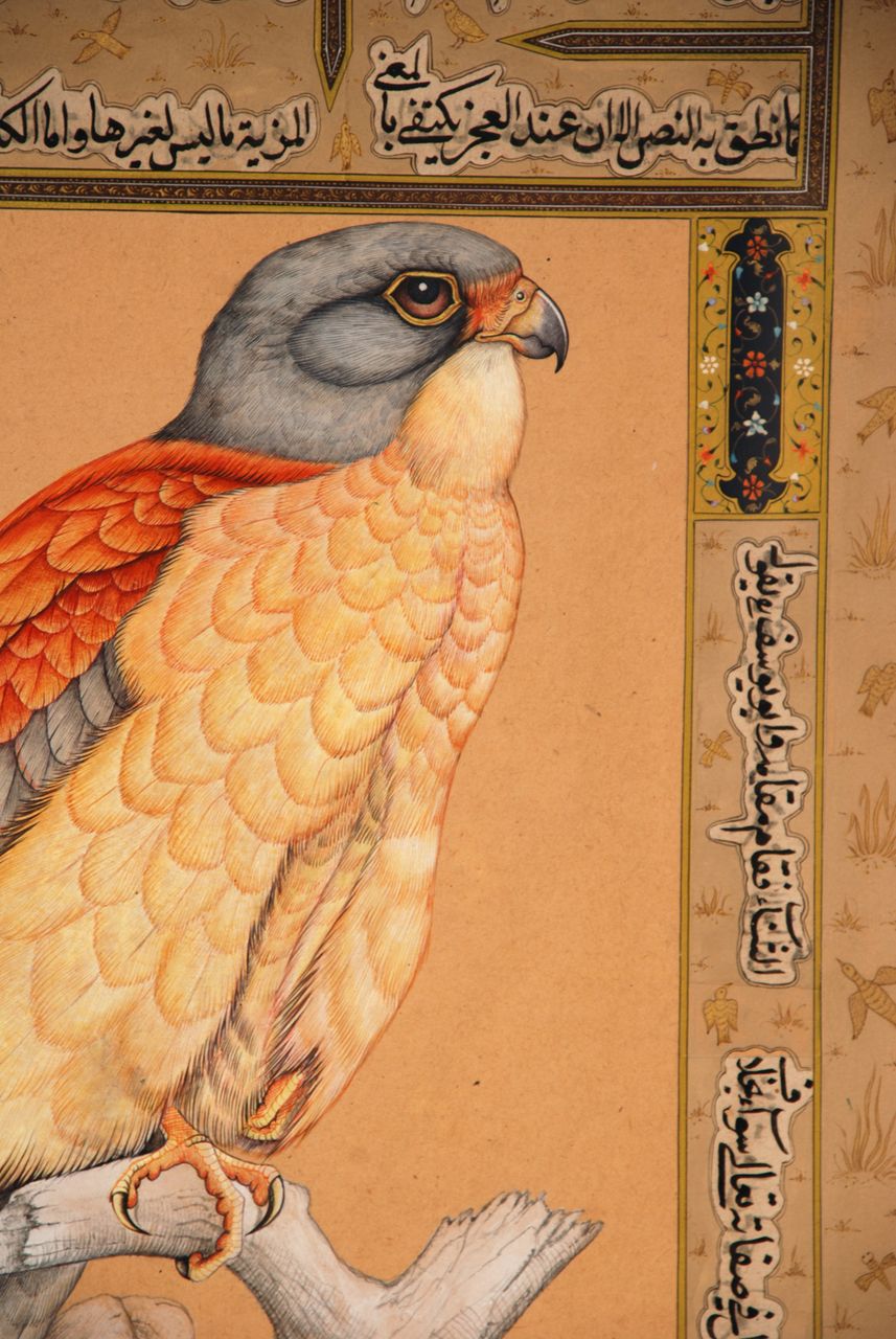 Persian 18th/19th century watercolor and ink of a Peregrine Falcon Persian 18th/19th century watercolor and ink of a Peregrine Falcon