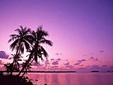 Sunset Dreams