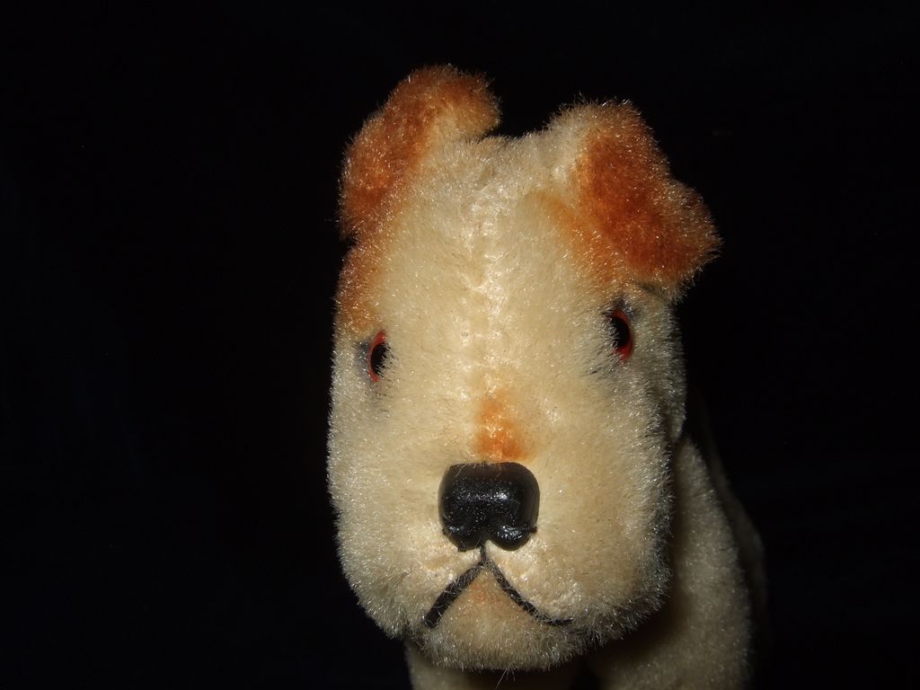 Great Condition Mohair Dog Great Condition Mohair Dog