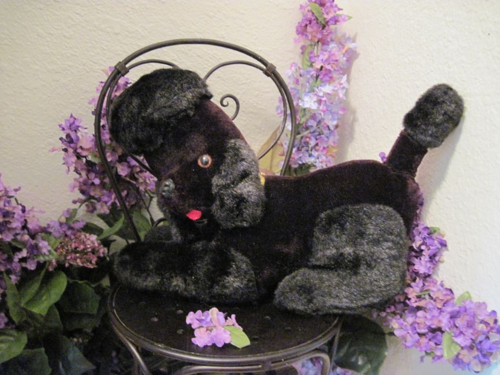 Mid-Century Modern Black Plush Poodle Dog Transistor Radio in Tummy 2 Mid-Century Modern Black Plush Poodle Dog Transistor Radio in Tummy 2