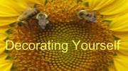 Decorating Yourself