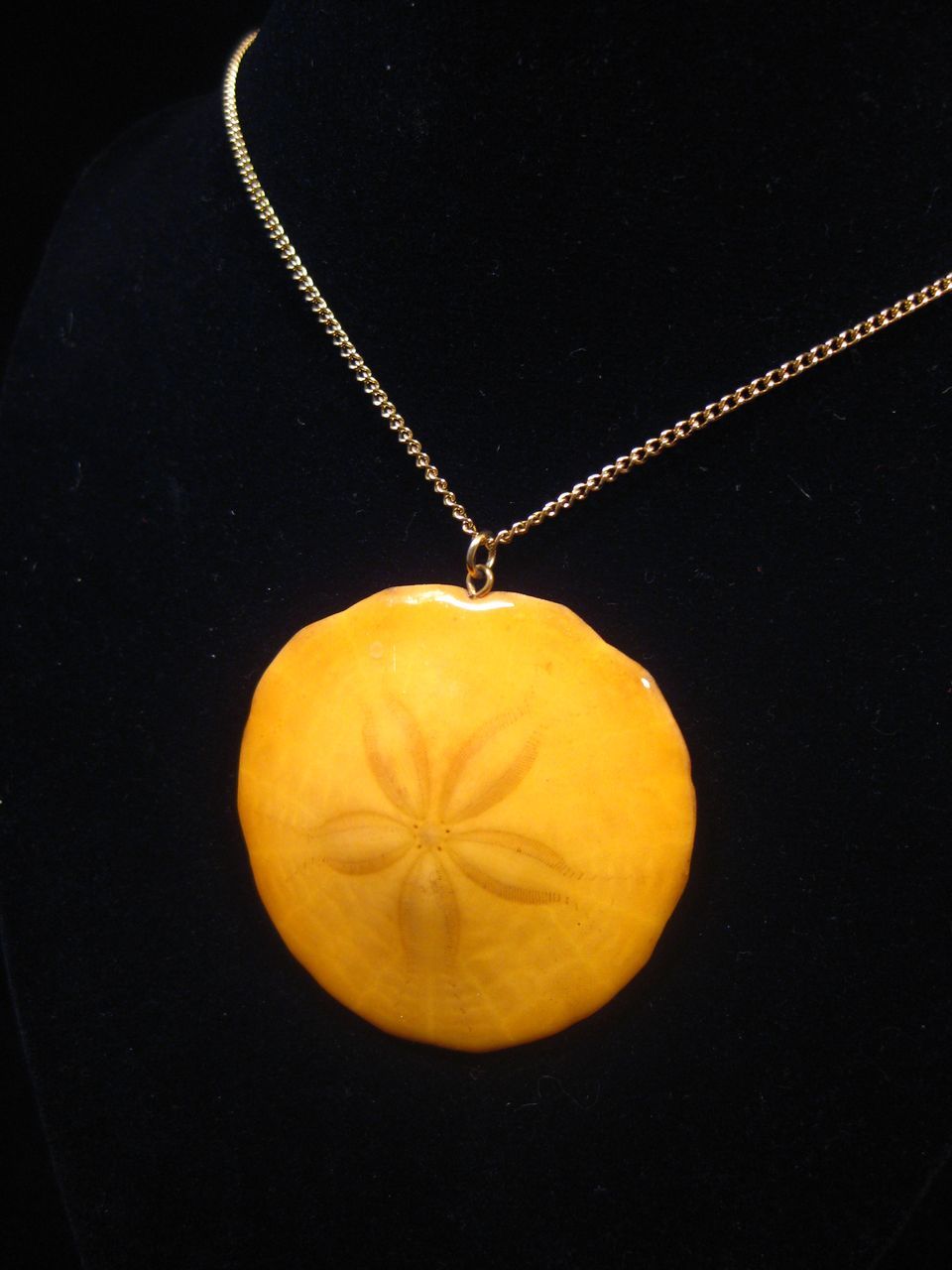 Vintage Butterscotch Color Natural Star Sand Dollar Necklace Vintage Butterscotch Color Natural Star Sand Dollar Necklace
