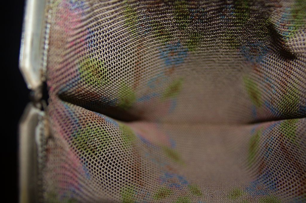Vintage Whiting & Davis Dresden Style Enameled Mesh Purse Vintage Whiting & Davis Dresden Style Enameled Mesh Purse