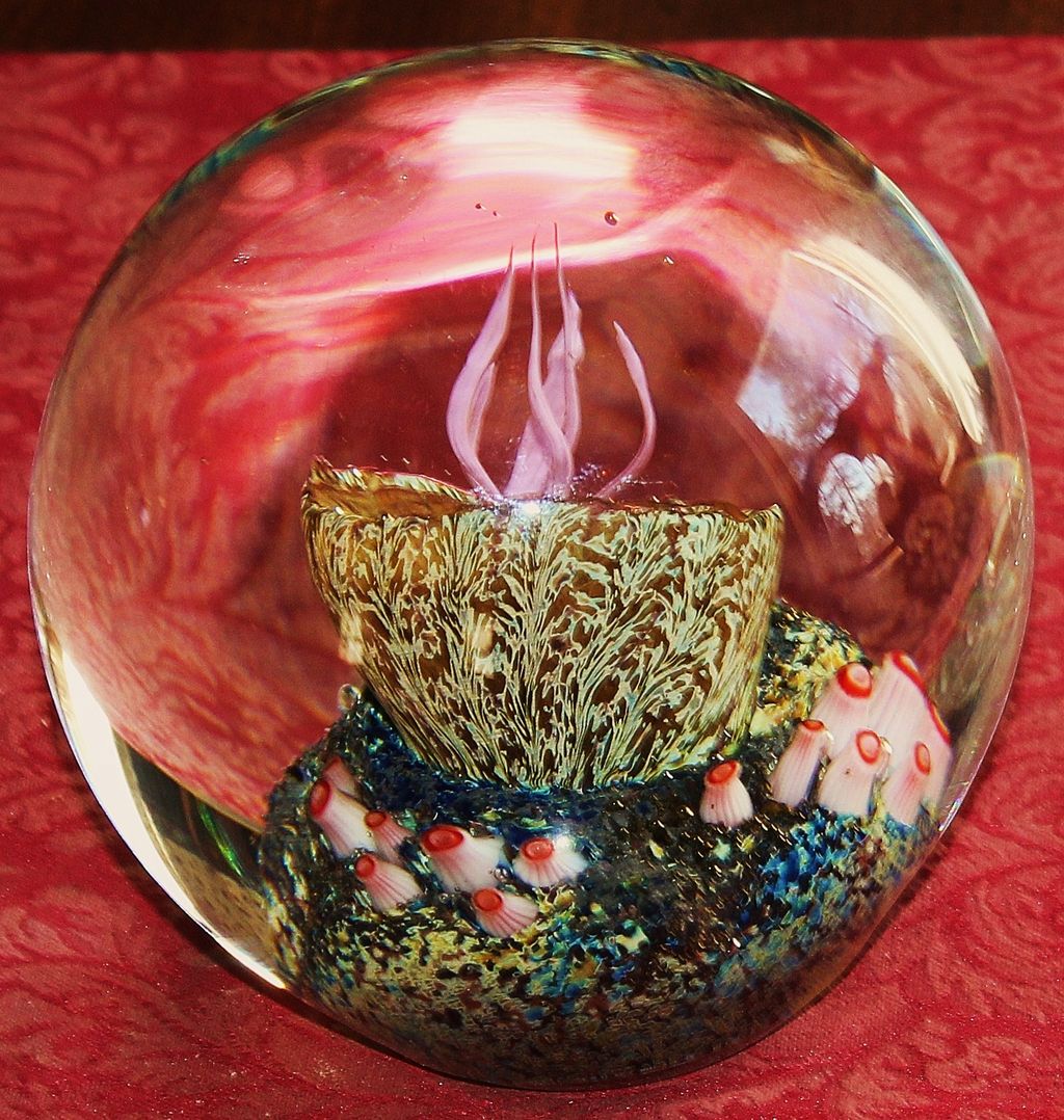 Rick Satava Sea Anemone Paperweight Magnum Size Rick Satava Sea Anemone Paperweight Magnum Size