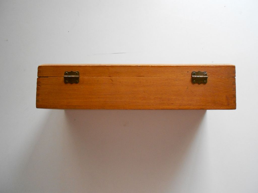 Vintage 1920s Pyrography Box Wood Box Illustrated Top Sides 1920s Vintage 1920s Pyrography Box Wood Box Illustrated Top Sides 1920s