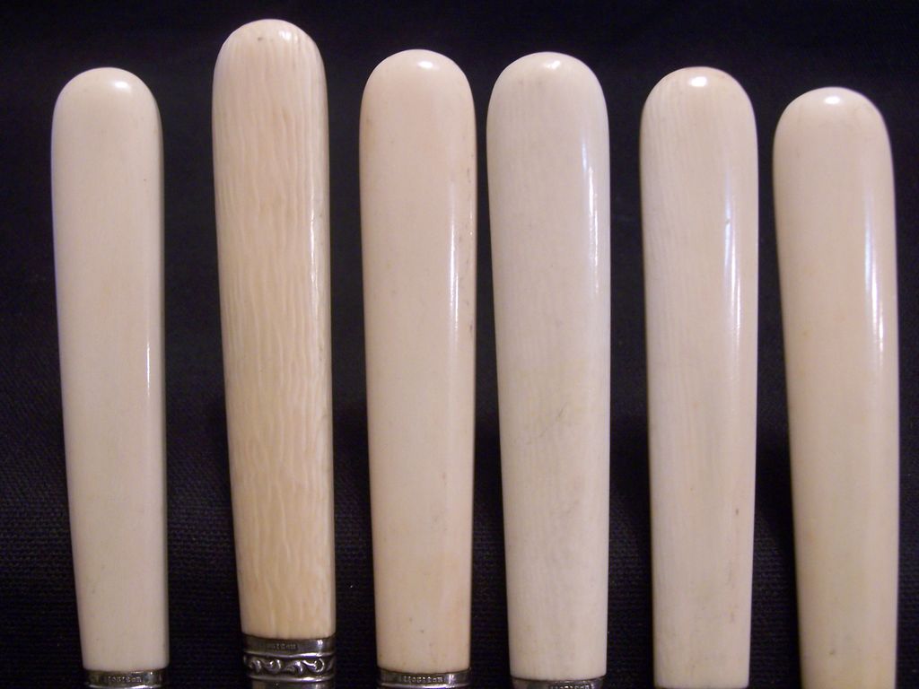Antique Bone Handle Twelve Piece Fish Service Allen and Darwin Sheffield Circa 1898 Antique Bone Handle Twelve Piece Fish Service Allen and Darwin Sheffield Circa 1898
